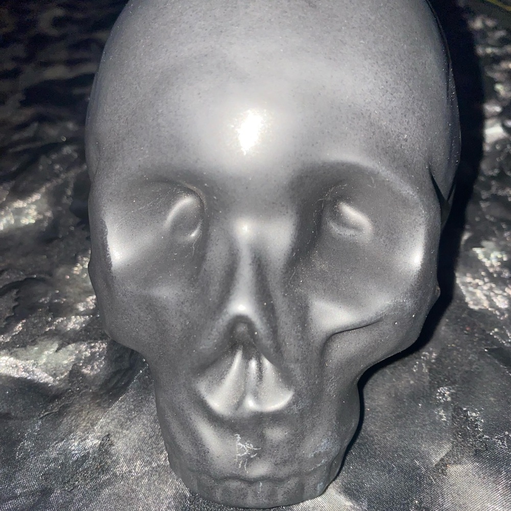Matte Black Decorative Skull Accent -
